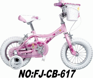 sell 2012 new style children bicycle